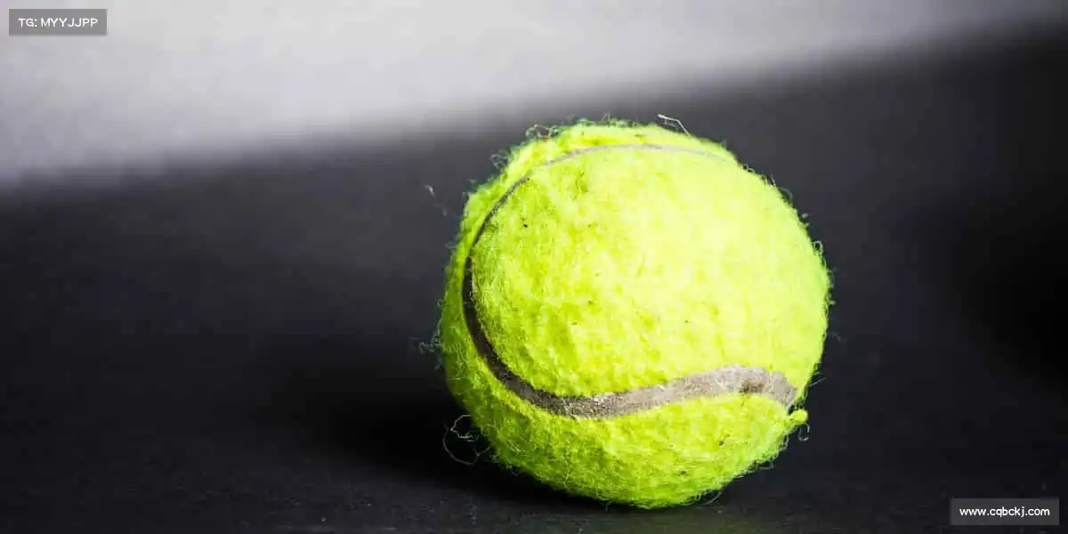 我们的品牌价值